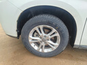 雙星（DOUBLE STAR）輪胎/汽車(chē)輪胎 225/65R17 102H SS81適配哈弗H6/新奇駿/CR-V/別克 曬單實(shí)拍圖