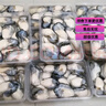 現剝鮮活生蠔肉海蠣子牡蠣肉生鮮海產(chǎn)品生蠔肉 1500g(3斤3包) 曬單實(shí)拍圖