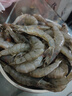 鮮享純【青島蝦】超大蝦新鮮大蝦冷凍鮮活青島大蝦批發(fā)整箱基圍蝦青蝦 15-17厘米鮮蝦速凍 3斤(凈重) 曬單實(shí)拍圖