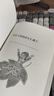 京東好書(shū) 神奇校車(chē)橋梁書(shū)版（全20冊）橋梁書(shū) 科普 百科 少兒 4歲 5歲 6歲 7歲 8歲暑假作業(yè) 一升二暑假銜接 小升初暑假銜接 曬單實(shí)拍圖