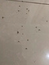 譙清溢驅(qū)蚊液蚊香液無味嬰兒孕婦專用電熱蚊香液無煙型預防基孔肯雅熱 曬單實拍圖
