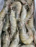 云儲生活大蝦生鮮特大號海捕白對蝦鮮活冷凍新鮮鹽凍青蝦2030 一箱凈重3斤 曬單實拍圖