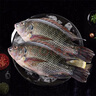 GUO LIAN國聯(lián)水產(chǎn) 三去羅非魚(yú)6條共4.2斤 非洲鯽魚(yú)生鮮紅燒魚(yú)食材源頭直發(fā) 曬單實(shí)拍圖
