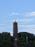 躍能蟲膠樹膠樹脂清潔劑去除鳥糞油垢除膠去污清洗劑汽車洗車液500ml 蟲膠清除劑 500ml 1瓶 【贈工具】 曬單實拍圖