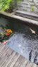 老漁匠魚(yú)缸氧氣泵隔音增氧機中型家用充氧機養魚(yú)用增氧機增氧泵大功率 8W雙孔+10CM海洋之心套裝 曬單實(shí)拍圖