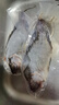 環(huán)球水產(chǎn)三去羅非魚2.8斤/共4條 免處理去鱗去鰓去內(nèi)臟 魚類 曬單實拍圖