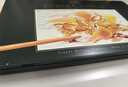 輝柏嘉（Faber-castell）油性彩色鉛筆專(zhuān)業(yè)手繪藝術(shù)家大師級繪畫(huà)套裝60色綠鐵盒裝110060教師開(kāi)學(xué)禮物【梵高認證】 曬單實(shí)拍圖