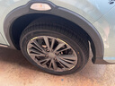 利奧玲瓏輪胎 185/55R16 87V P88 適配本田鋒范2012款 曬單實(shí)拍圖