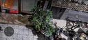 小米智能攝像機C700 800萬(wàn)像素4K超清監控家用攝像頭360度全景嬰兒監控手機遠程監控器寵物高清帶夜視 曬單實(shí)拍圖