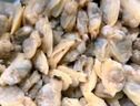 靈略新鮮活剝蛤蜊肉凈重1.8斤 花甲花蛤蜆子肉大號(hào)去殼去沙 生鮮 貝類 曬單實(shí)拍圖