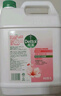 滴露（Dettol）洗手液補充裝大桶消毒滋潤5L 兒童家庭裝殺菌護手 曬單實拍圖