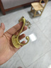 銅匠師黃銅掛衣鉤免打孔無痕掛鉤衣帽鉤玄關(guān)壁掛衣架廚房浴室試衣間雙鉤 T1613螺絲款-啞光拉絲(抗氧化) 曬單實拍圖