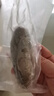 三只海豚 即食海參大連野生即食鮮食單個裝刺參生鮮年貨9-12只500g 曬單實拍圖