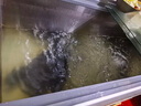 榮事達養魚(yú)冰箱淡水海水過(guò)濾循環(huán)增氧冰柜商用展示柜冷藏保鮮柜臥式水柜 1.2米/水循環(huán)過(guò)濾+增氧系統 曬單實(shí)拍圖
