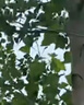 貓人jk小腿襪夏季顯瘦高筒女士長襪保暖空調(diào)襪黑色過膝長筒棉襪3雙 曬單實(shí)拍圖
