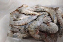 東上御品 國產(chǎn)青島大蝦 特大號白蝦 2030規格 凈重3斤 盒裝活凍 曬單實(shí)拍圖
