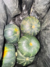 伊利金領(lǐng)冠菁護A2【高量乳鐵蛋白】幼兒配方奶粉3段(1-3歲)800g 曬單實(shí)拍圖