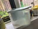 炊大皇冷水壺大容量夏日解暑冰箱儲存帶龍頭冷水壺 綠色 3.9L 曬單實(shí)拍圖