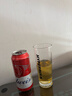 百威紅罐啤酒 經(jīng)典醇正淡色拉格啤酒 整箱裝批發(fā) 派對聚餐 經(jīng)典紅罐 450mL 20罐 整箱裝 曬單實(shí)拍圖