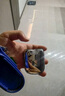 有色（yoose）剃須刀便攜合金電動刮胡刀 男士生日七夕情人節(jié)禮物送男友老公胡須刀禮盒 MINI 2.0 電鍍銀 曬單實拍圖