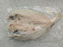 鮮京采寧德黃魚(yú)鲞4條/2斤(單條235-255g)三去處理魚(yú)類(lèi) 地標 源頭直發(fā) 曬單實(shí)拍圖