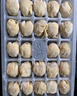 袁記味享x鮮京采 袁記云餃鮮蝦蟹籽三拼云吞拼盤(pán)24顆500g鮮肉早餐餛飩 曬單實(shí)拍圖