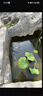 格池（GRECH）潛水泵魚(yú)缸變頻水泵魚(yú)池抽水泵循環(huán)水泵高揚程水陸兩用HCP-6000 曬單實(shí)拍圖