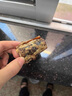 ZEAL新西蘭進口狗狗零食風干小牛尾骨500g磨牙肉干訓練獎勵寵物零食 曬單實拍圖