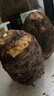 探味君 廣西荔浦大芋頭 現(xiàn)挖粉糯大香芋 新鮮蔬菜 3斤凈重2.8斤 中芋（單果250g起） 曬單實(shí)拍圖