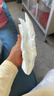 碧芭寶貝盛夏光年P(guān)RO金裝plus奢寵裝尿不濕嬰兒紙尿褲薄透氣紙尿片 【金裝】紙尿褲S-60片(4-8kg) 曬單實(shí)拍圖