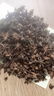 足干大紅八角廣西無(wú)硫大紅大料茴香新貨香葉花椒桂皮香料調(diào)料大全 足干八角500克 曬單實(shí)拍圖