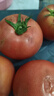 京鮮生沙瓤粉西紅柿 凈重3斤 單果100g+果菜兩吃 源頭直發(fā) 【搜生鮮館】 曬單實(shí)拍圖