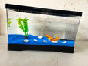 貝初眾魚(yú)缸一體缸生態(tài)魚(yú)缸客廳桌面底濾魚(yú)缸免換水小金魚(yú)溪流缸水族箱 黑色【標準觀(guān)賞套餐】 新手免換水輕松養魚(yú) 超高清透光全景觀(guān)賞 曬單實(shí)拍圖