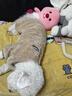 貝初眾狗狗衣服冬季保暖貓咪冬天衣服中小型犬秋冬小狗衣服泰迪比熊柯基 棕色-加厚珊瑚絨【可牽引】 M 【適合4-5斤寵物】 加厚保暖 曬單實(shí)拍圖