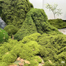 雙盟仿真苔蘚絲狀青苔人造景草坪草皮綠植被墻微場(chǎng)景觀(guān)盲盒門(mén)店鋪裝飾 曬單實(shí)拍圖