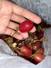 新疆特產(chǎn)吐魯番克倫生無(wú)籽紅提產(chǎn)地現采新鮮葡萄天然有機水果 新疆紅提1斤/箱(凈重）) 曬單實(shí)拍圖