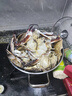 舟山梭子蟹鮮活特大野生大螃蟹新鮮冷凍海鮮水產(chǎn)海蟹飛蟹白蟹順豐 7-9兩/只【5斤凈重 特大肥壯】 曬單實(shí)拍圖