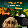博物大發(fā)現 找找看 禮盒裝 昆蟲(chóng)記動(dòng)物大百科自然昆蟲(chóng)觀(guān)察筆記 無(wú)窮小亮張辰亮唐志遠 高清精美昆蟲(chóng)大片 最美的法布爾昆蟲(chóng)記 超大開(kāi)本 6-12歲中小學(xué)生兒童科普暑期閱讀 新華正版 博物大發(fā)現:找找看 曬單實(shí)拍圖
