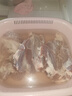 【順豐包郵】新鮮甄選原切牛腱子肉農家散養(yǎng)黃牛肉健身滋補牛腱肉 原切牛腱5斤 曬單實拍圖