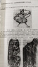 高清平裝 中國天文學(xué)史  上下冊 陳遵媯 著(zhù) 上下兩冊 曬單實(shí)拍圖