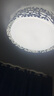 雷士（NVC）led燈盤吸頂燈替換燈芯燈板燈泡磁吸燈條光源74瓦白光 高顯色Ra95 曬單實(shí)拍圖