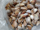 大禹大蒜種子老品種紫紅皮大祘頭批發(fā)蒜種蒜頭山東正宗香蒜出蒜苔蒜苗 蒜頭大蒜種子2斤 出蒜苔蒜苗 曬單實(shí)拍圖