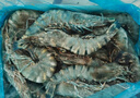 GUO LIAN國聯(lián)特大號黑虎蝦斑節蝦 無(wú)冰鹽凍凈重2斤20-30只 中秋聚餐海鮮 曬單實(shí)拍圖