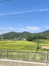 得寶軟抽4層加厚經(jīng)典無(wú)香可濕水餐巾紙90抽18包（新舊包裝隨機(jī)發(fā)貨） 經(jīng)典無(wú)香抽紙 4層 90抽*18包 曬單實(shí)拍圖
