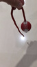HELLOJOY狗狗玩具耐咬球自動逗狗神器自嗨解悶寵物電動小狗智能彈力遛狗球 曬單實(shí)拍圖