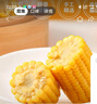 大希地奧爾良口味 大雞排凈重100g*5片雞胸肉雞扒健身輕食餐燒烤早餐 曬單實(shí)拍圖