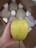 正宗雪梨河北雪花梨梨子批發(fā)10斤冰糖雪梨新鮮水果當(dāng)季水果3斤5斤 特級(jí)雪梨凈重5斤 曬單實(shí)拍圖