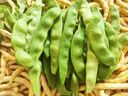 云中紫塞山西大同特產(chǎn)高品質(zhì)生榨沙棘汁維C野沙棘果汁VC飲料沙棘果漿 沙棘汁280ml*12 曬單實(shí)拍圖