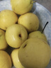 趣覓鮮鞍山南果梨香水梨子禮盒裝正宗東北特產(chǎn)南國(guó)梨子紅皮新鮮水果 5斤帶箱黃果40個(gè)左右 曬單實(shí)拍圖