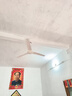 美的（Midea） 吊扇家用客廳電風(fēng)扇輕音鋼葉大風(fēng)力宿舍工廠(chǎng)樓頂扇吸頂風(fēng)扇 風(fēng)扇踏青放價(jià) 白色 FC140-BA（56寸/1.4米）+無(wú)極調速器 曬單實(shí)拍圖